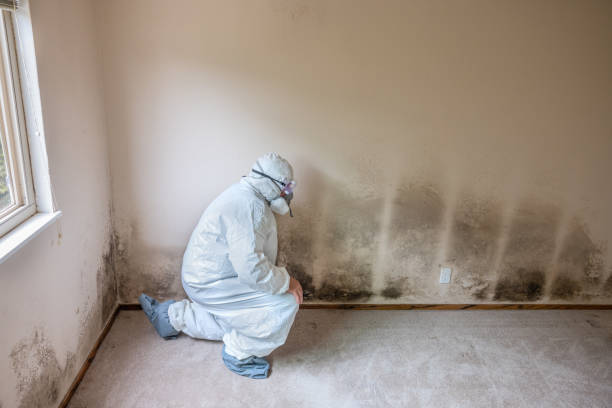 Best Residential Mold Inspection & Testing  in Columbia, PA